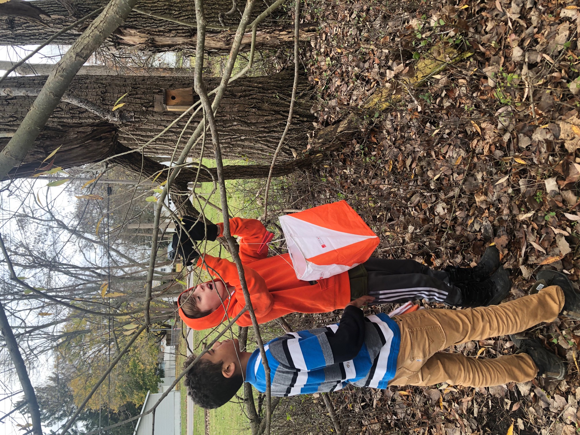 Two scouts Isaiah and Dan hanging an orienteering control point marker